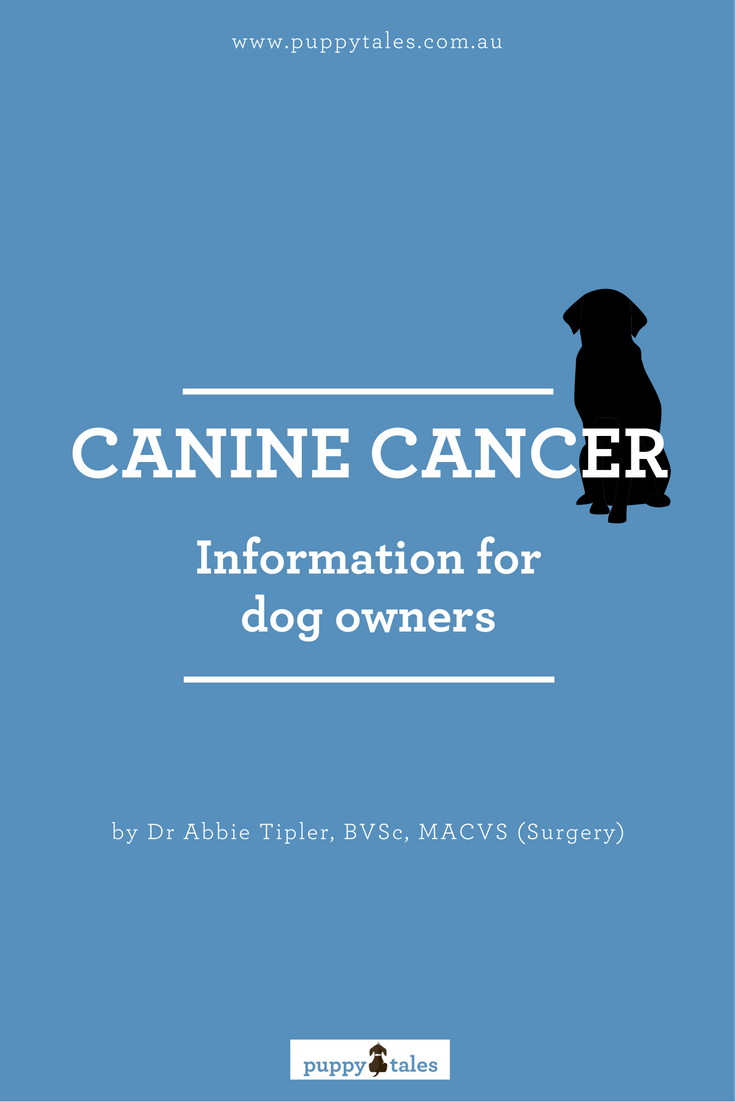 Canine Cancer – Information for dog owners