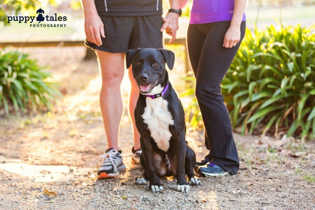 Canine Cupid - Spending time with your dog is great for your relationship.