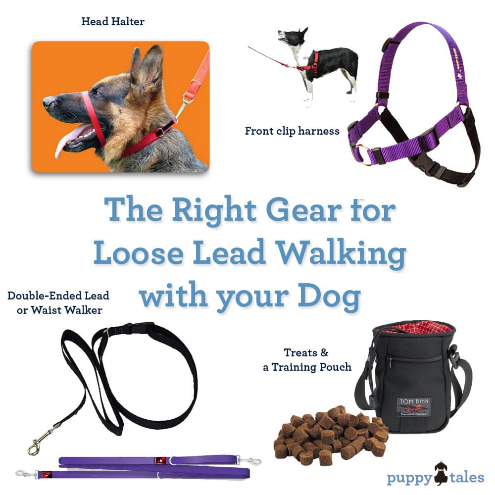 loose leash walk training