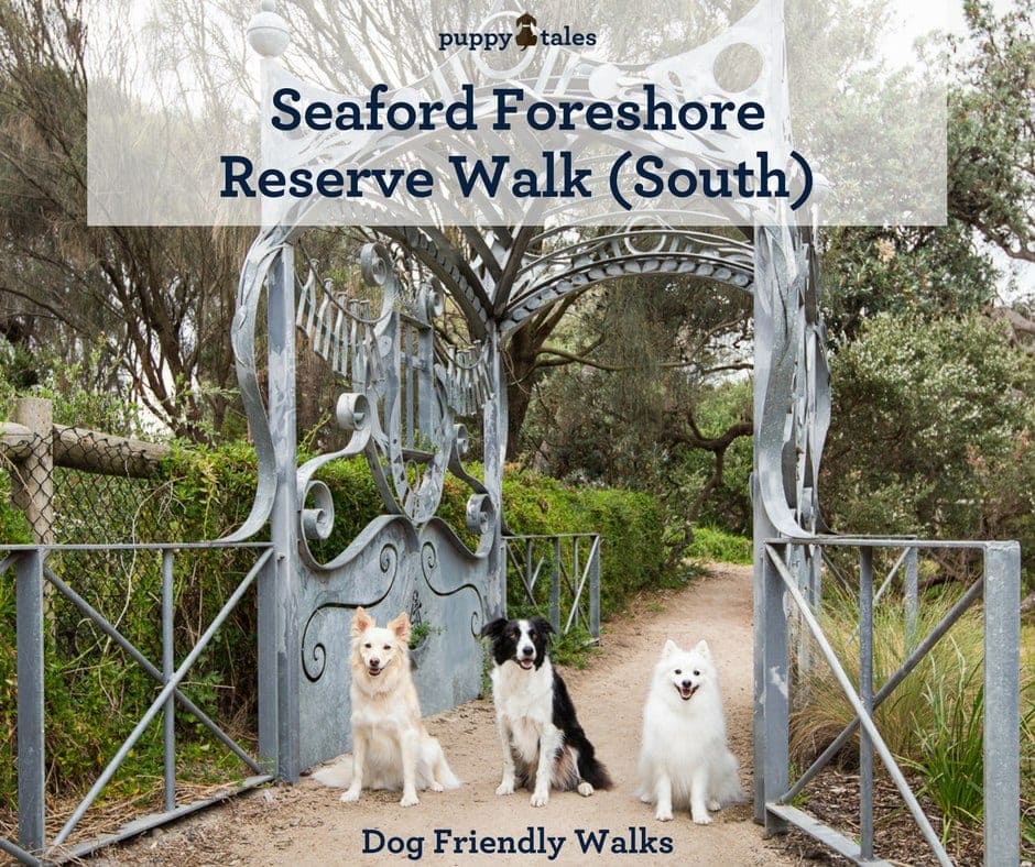 Dog Friendly Walks Seaford Foreshore Reserve Puppy Tales