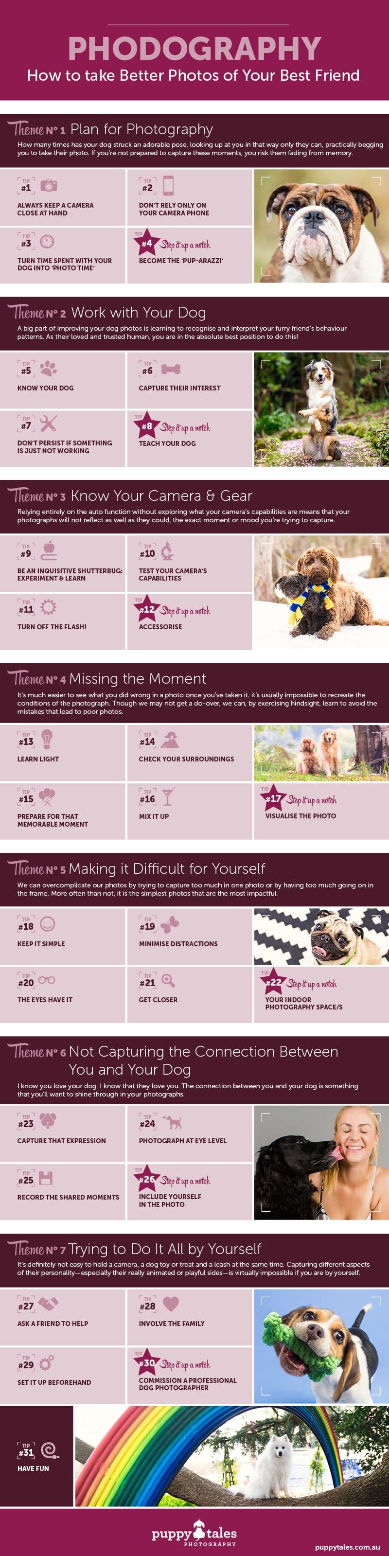 Phodography How to take Better Photos of your Best Friend Infographic Internet