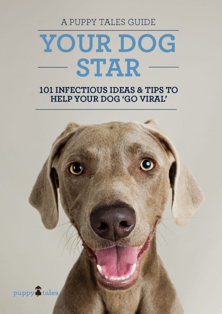 Your Dog Star A Puppy Tales Guide pdf 2
