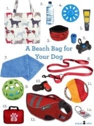 A beach bag for your dog.