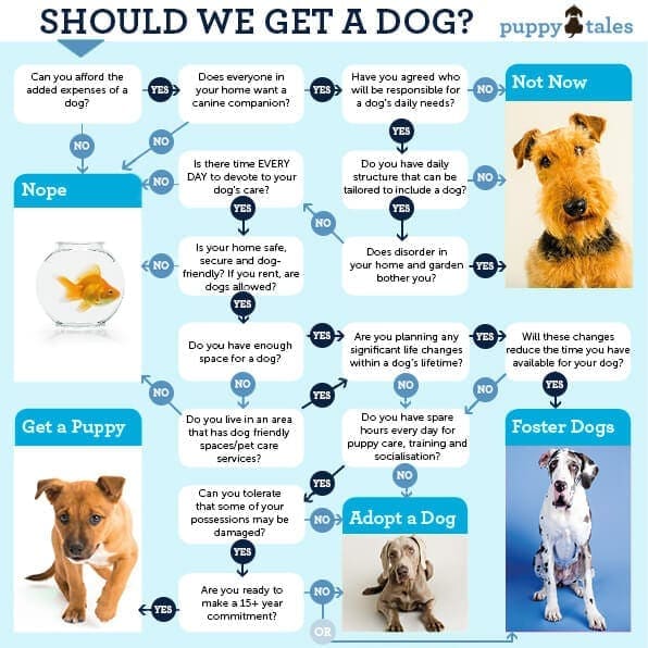 Which puppy should i 2024 get