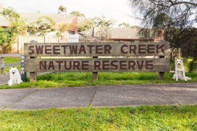 Sweetwater Creek Nature Reserve do friendly trail starting point