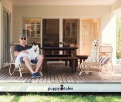 Puppy Tales Review of our stay at Verandah Retreat in Phillip Island, Victoria