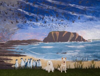 Japanese SPitz and Border Collie at Cowes, Phillip Island