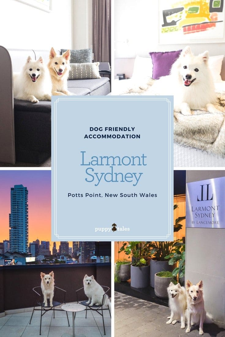 Looking for Dog Friendly Accommodation in Sydney? Try the luxurious Larmont by Lancemore in Potts Point.