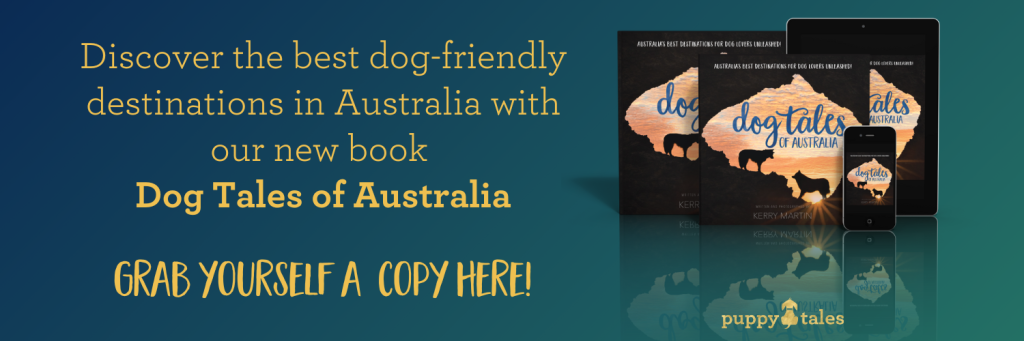 Discover the best dog-friendly destinations in Australia with our new book Dog Tales of Australia
