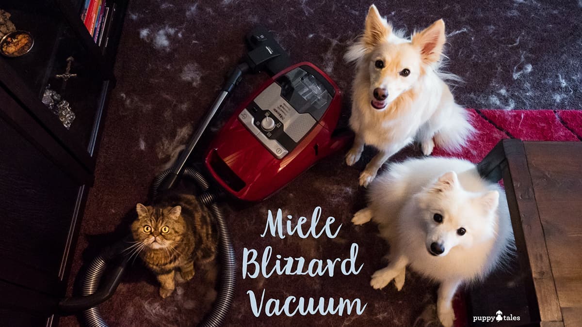 Miele Vacuum Review Coming Clean about the Miele Blizzard Vacuum