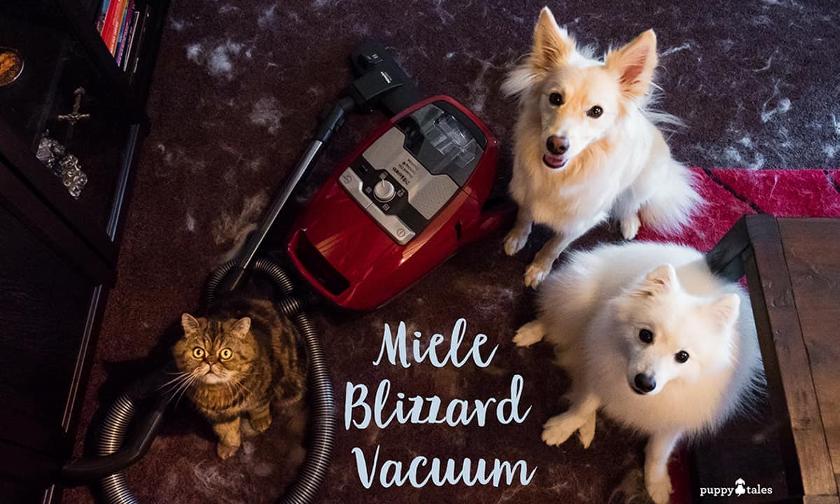 Miele Vacuum Review Coming Clean about the Miele Blizzard featured