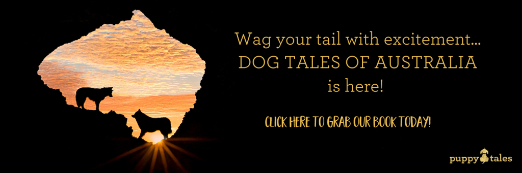 Wag your tails with excitement, Dog Tales of Australia is here