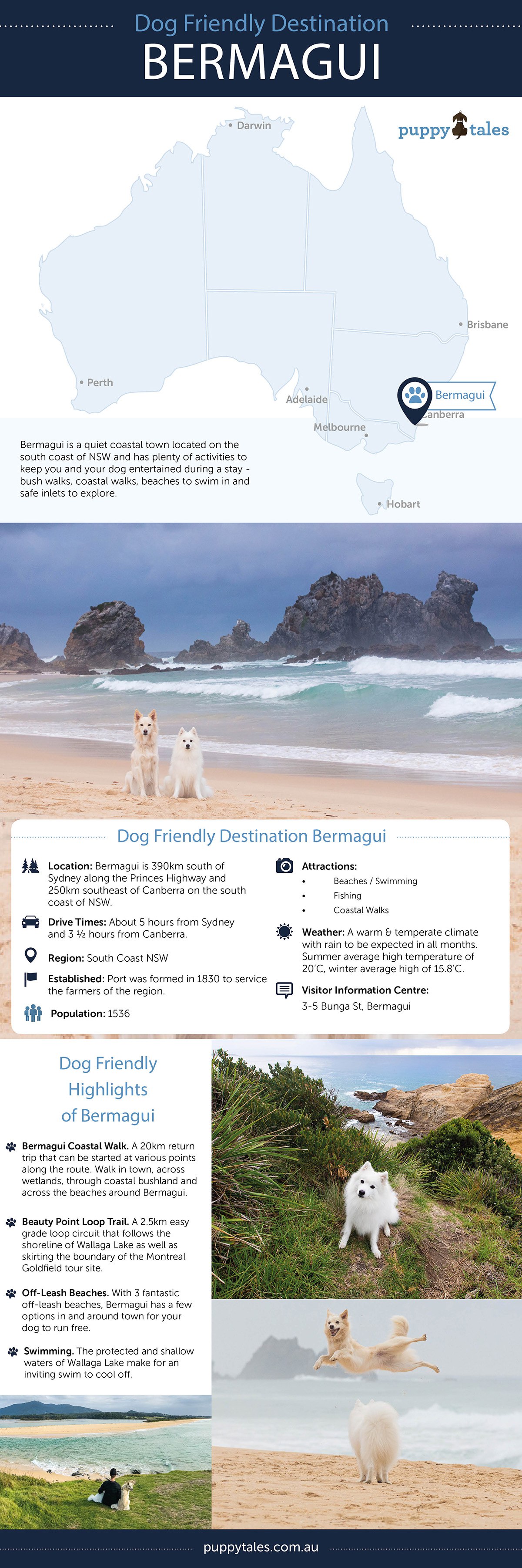 Dog Friendly Destination Infographic Bermagui