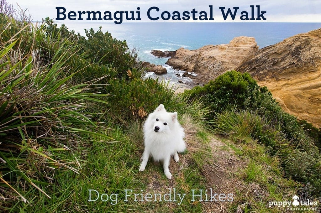 Bermagui Coastal Walk Title