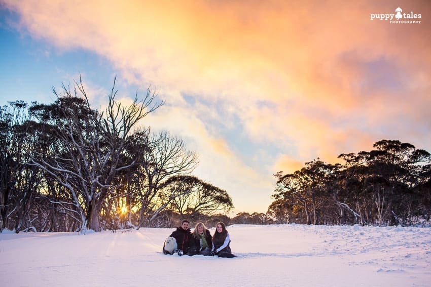 Frequently Asked Questions for Taking your dogs to the Snow at Dinner Plain