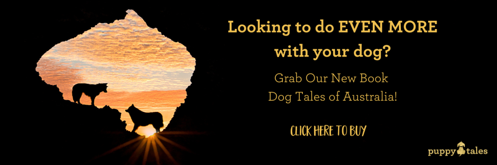 Do even more with your dog with Dog Tales of Australia