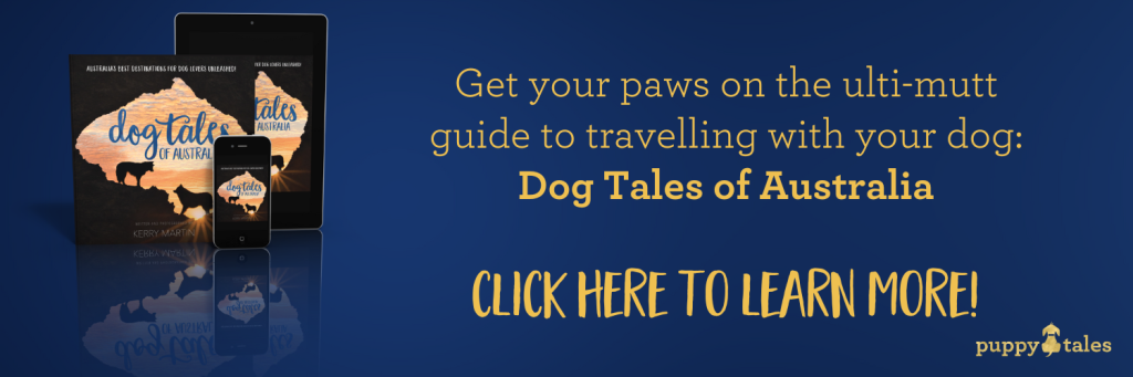 Get your paws on the ultimate guide to travelling with your dog