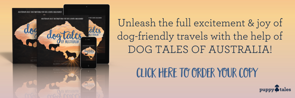Unleash the joy of dog-friendly travels with Dog Tales of Australia