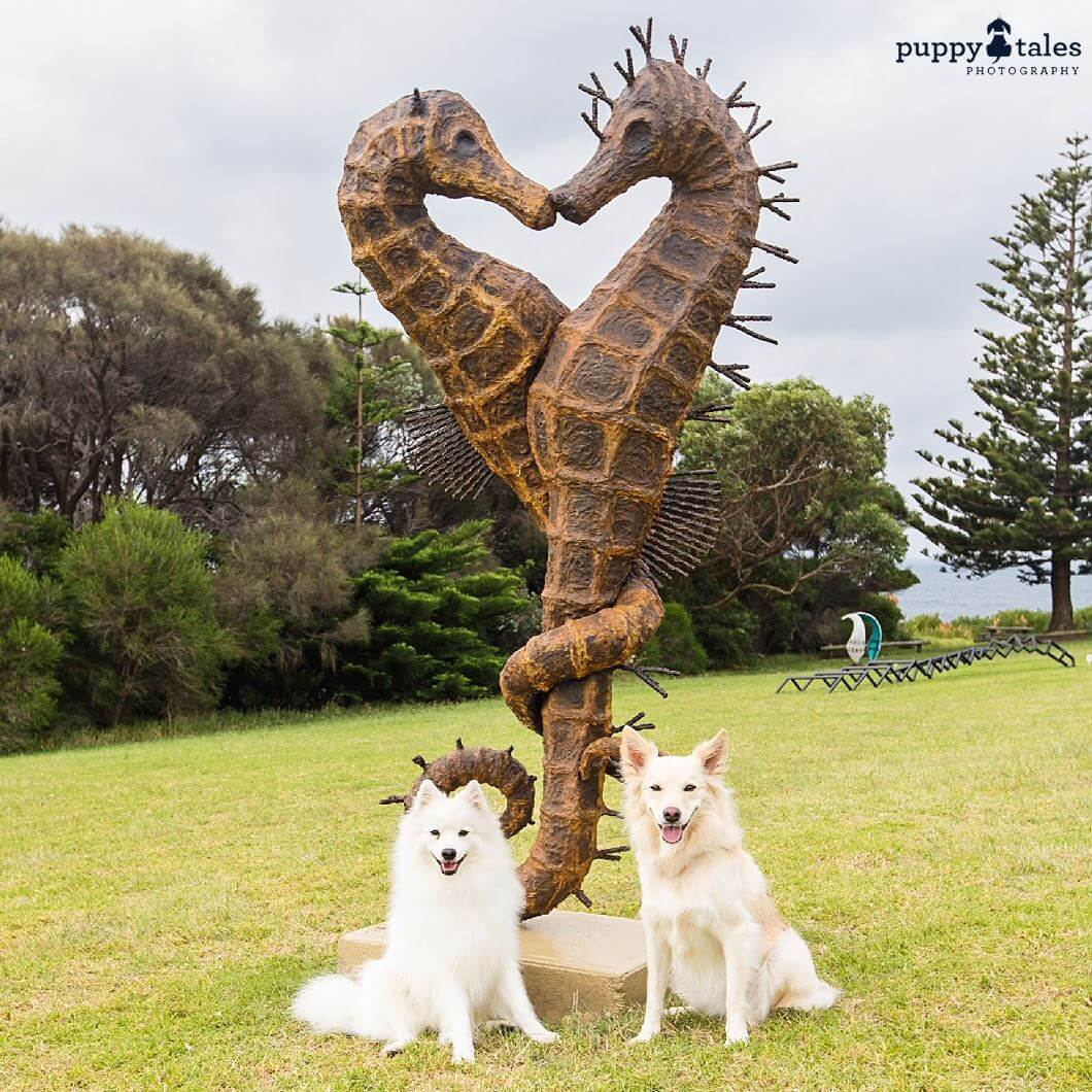 Pawsitive Travel With Dogs Dogs About Town Sculpture Parks