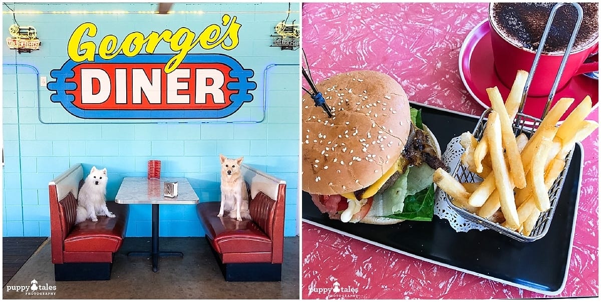 Dog Friendly Cafes Airlie Beach George's Diner