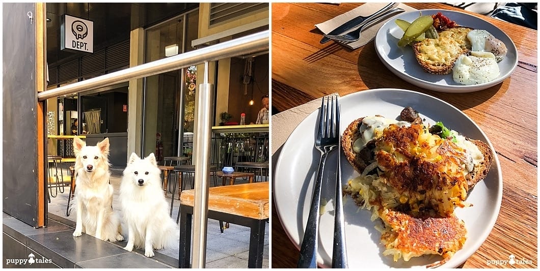 Doughnut Department Dog Friendly Cafes in Canberra