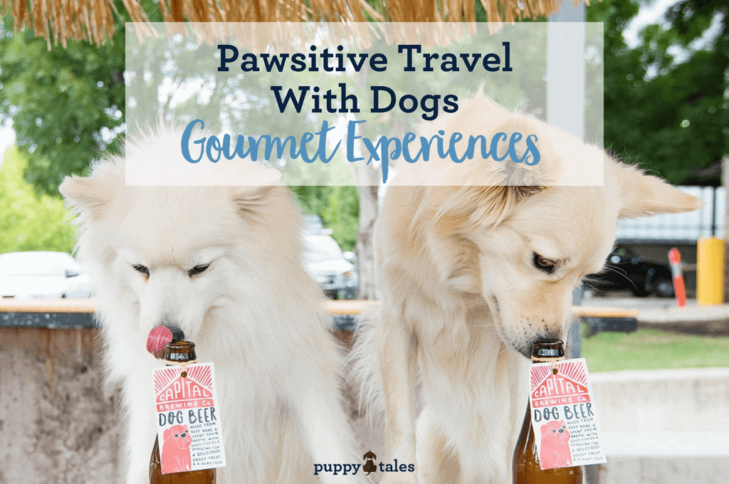 Pawsitive Travel With Dogs Gourmet Experiences Title