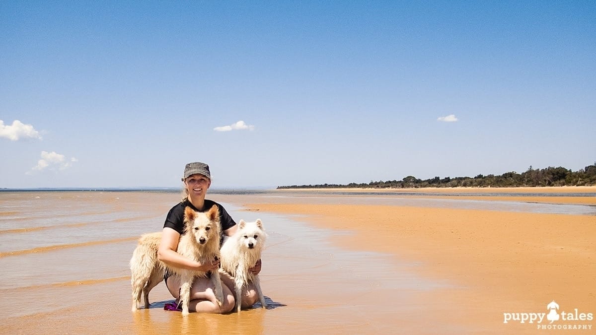 a woman with her dogs on a beach