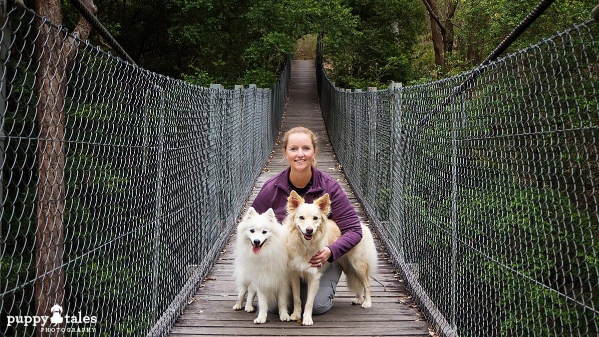 a woman sitting on a hanging bridge with her dogs