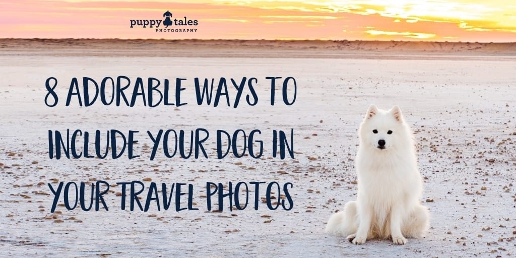 8 Adorable Ways to Include your Dog in your Travel Photos Title traveling with your dog