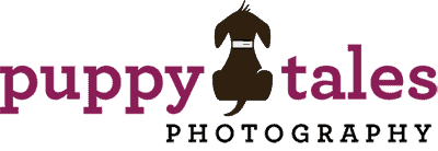 Puppy Tales Photography Logo