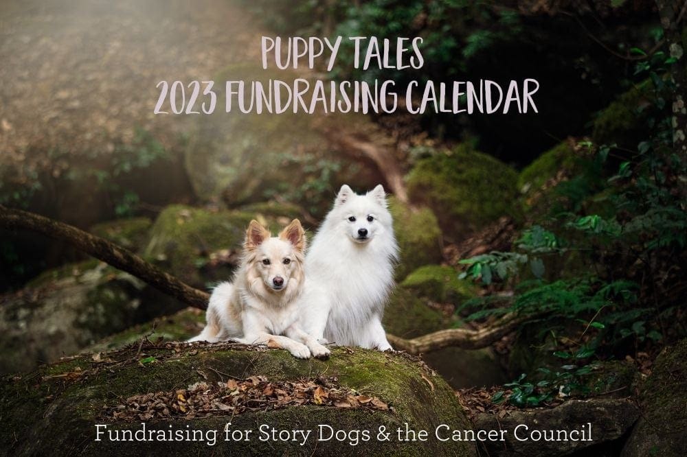 Puppy Tales 2023 fundraising calendar