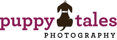 Puppy Tales Photography Logo 400px 1