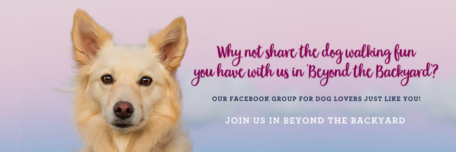 A banner with a dog that has a colourful background that says, “Why not share the dog walking fun you have with us in ‘Beyond the Backyard’?”