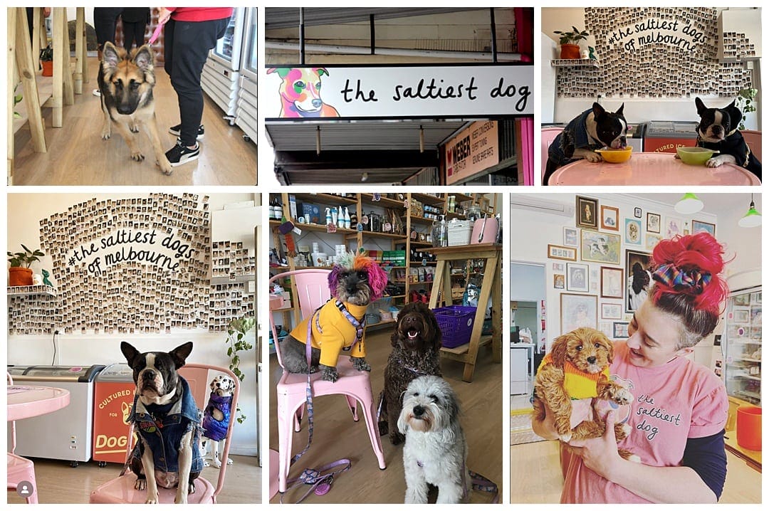 The Saltiest Dog Cafe - One of Melbourne's Cafes for Dogs