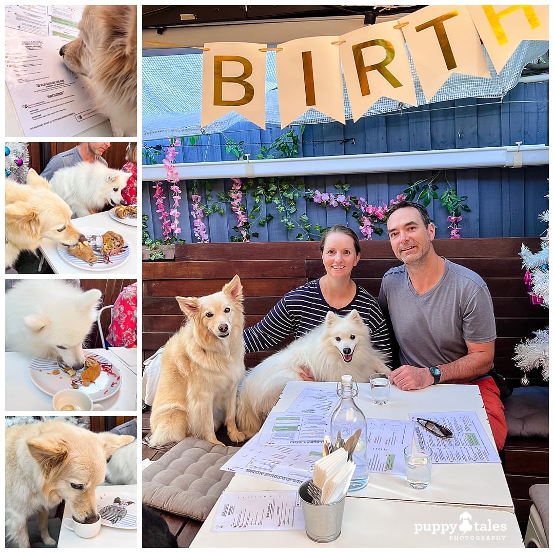 Chez Misty, located in St Kilda Melbourne, is a cafe that caters for both dogs and people.