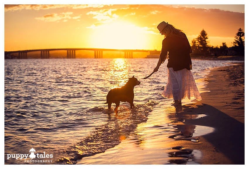 Dog and owner walking along the Beach at Sunset