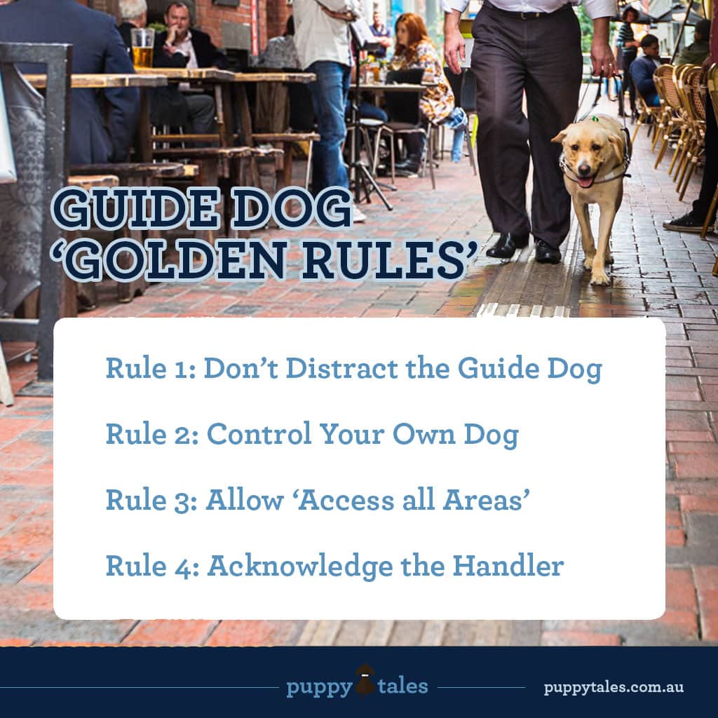 Guide Dog Golden Rules - Puppy Tales