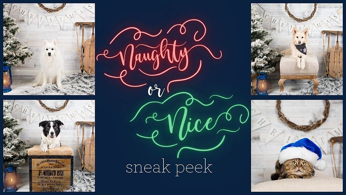 Naughty or Nice Sneak Peek Title