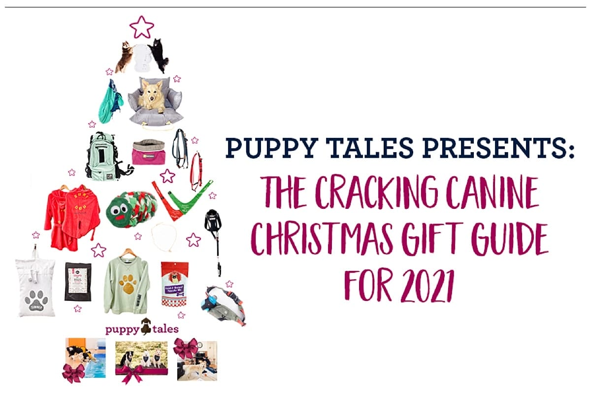 Puppy Tales Presents The Cracking Canine Christmas Gift Guide for 2021 Featured