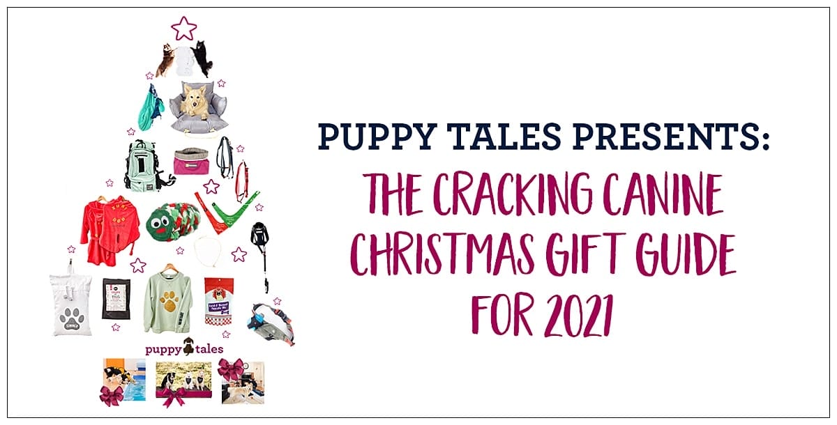 Puppy Tales Presents The Cracking Canine Christmas Gift Guide for 2021
