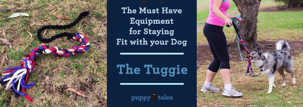 The Must Have Equipment for Staying Fit with Your Dog - The Tuggie