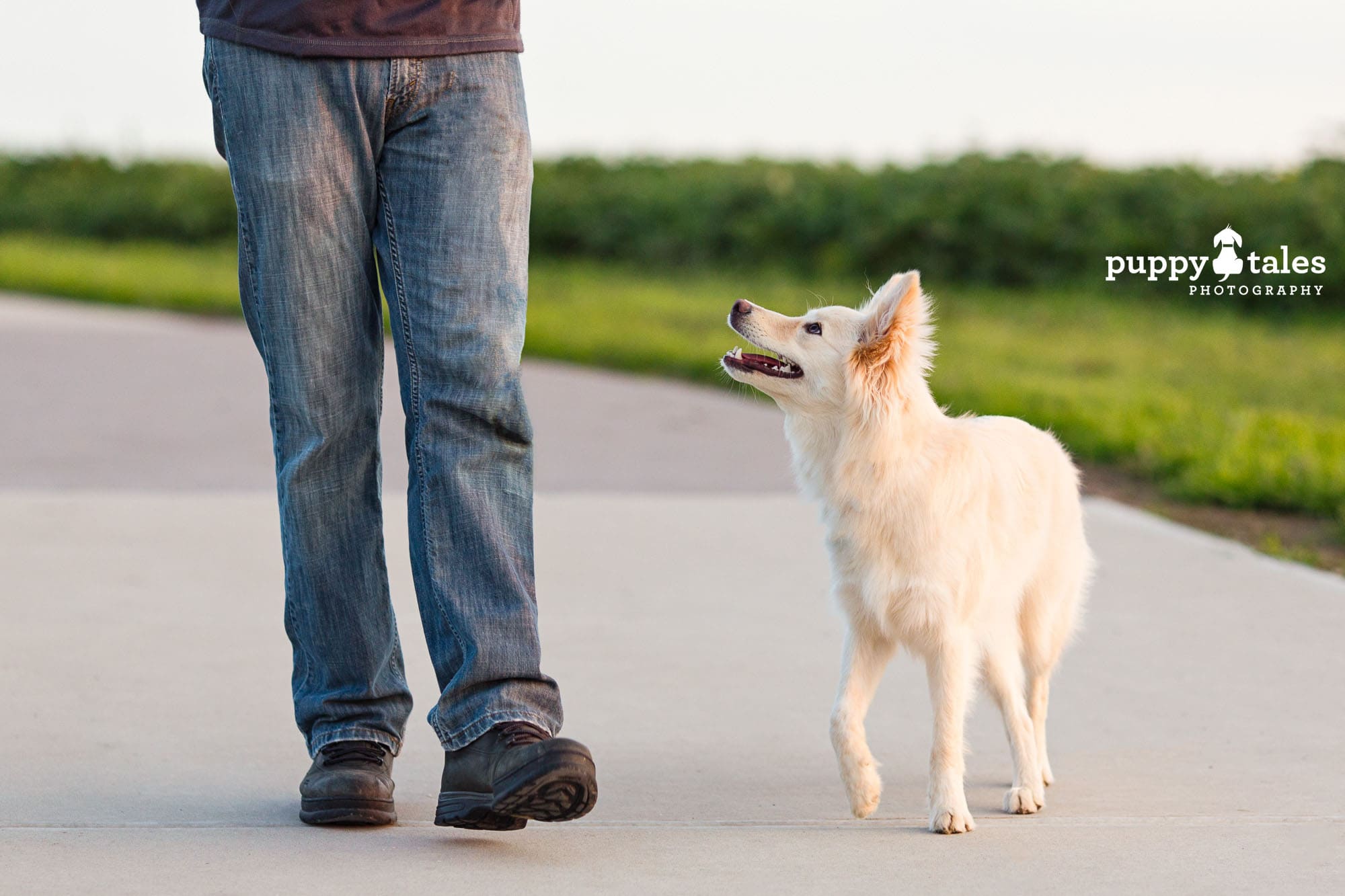 A Dad & Dog walk to Celebrate Father's Day