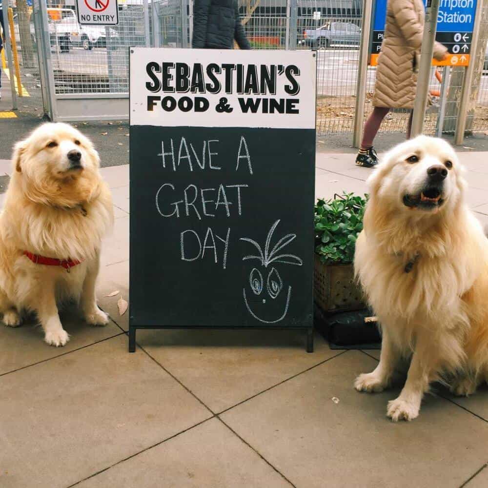 Two dogs standing outside a pet friendly restaurant in Melbourne as they pose beside the signage