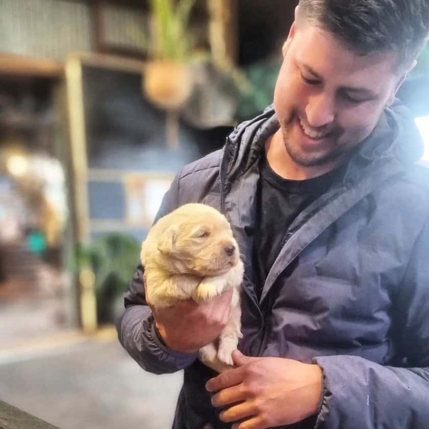 Person holds cute dog in their arms with affection in dog friendly cafe in Melbourne