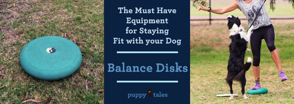 The Must Have Equipment for Staying Fit with Your Dog - Balance Disk
