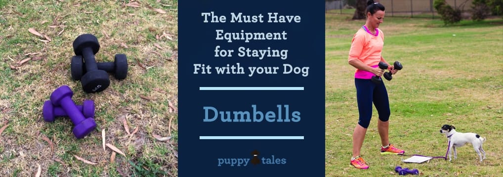 The Must Have Equipment for Staying Fit with Your Dog - Dumbells