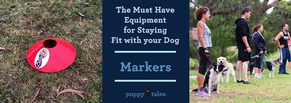 The Must Have Equipment for Staying Fit with Your Dog - Markers