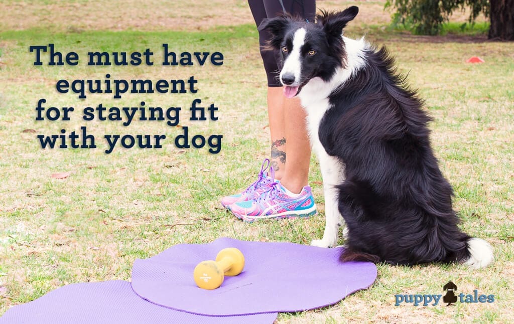 Puppy Tales - The Must Have Equipment for Staying Fit with Your Dog
