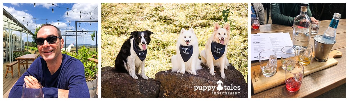 puppytalesphotography Pooches Pinot Winery Tour in the Yarra Valley