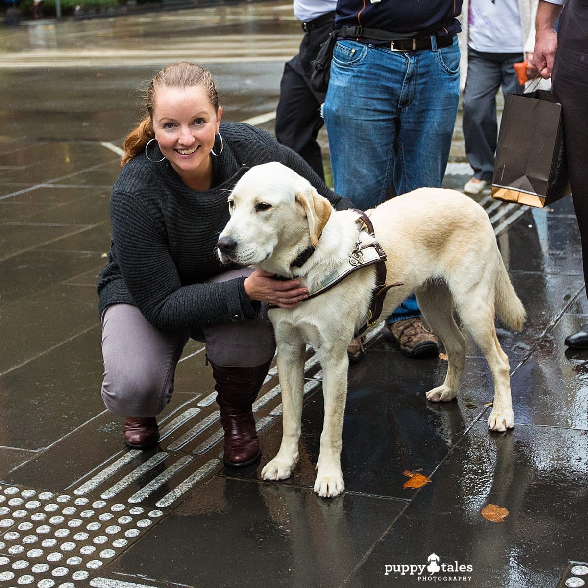 Access All Areas Experience with Guide Dogs Victoria